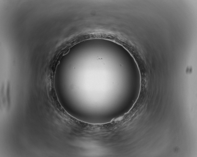 X0000099491493200805221326