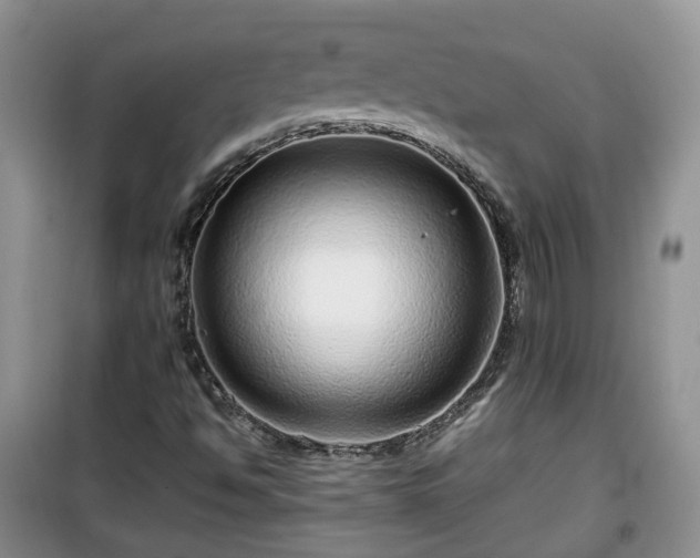 X0000099491494200805221326