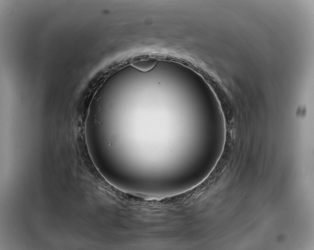 X0000099491495200805221326