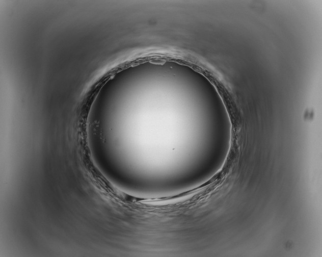 X0000099491496200805221326
