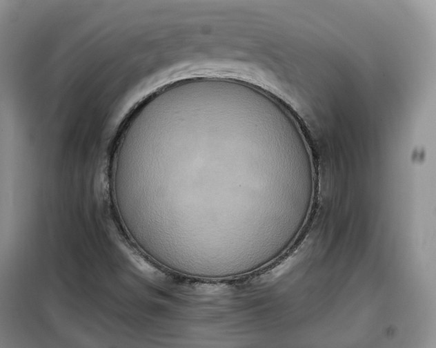 X0000099491498200805221326
