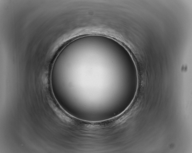 X0000099491499200805221326