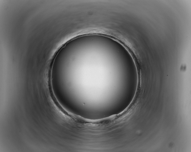 X0000099491500200805221326
