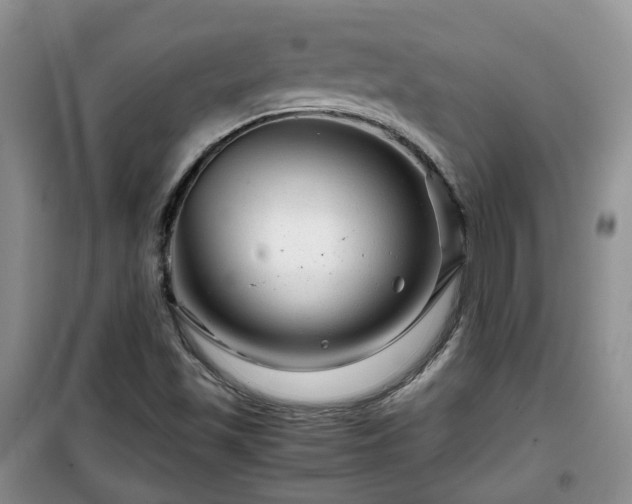 X0000099491501200805221326
