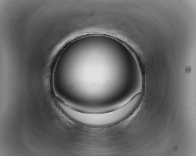 X0000099491502200805221326