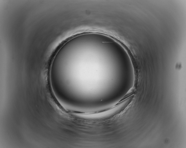 X0000099491503200805221326