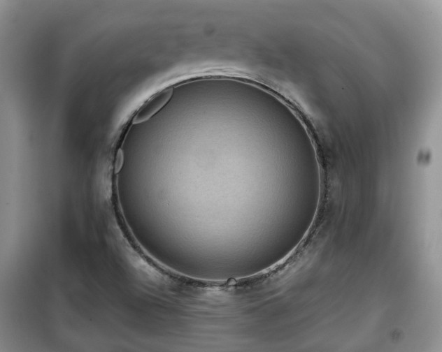 X0000099491504200805221326