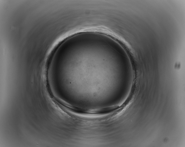 X0000099491506200805221326