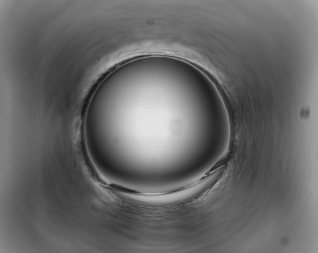 X0000099491507200805221326