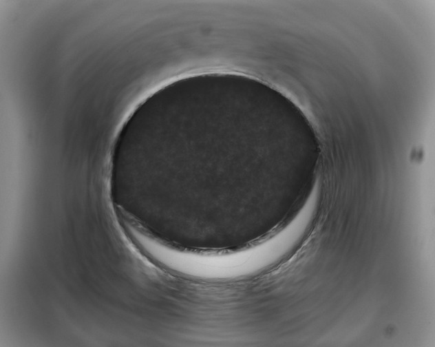 X0000099491508200805221326