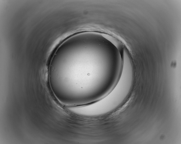 X0000099491509200805221326