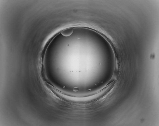X0000099491510200805221326