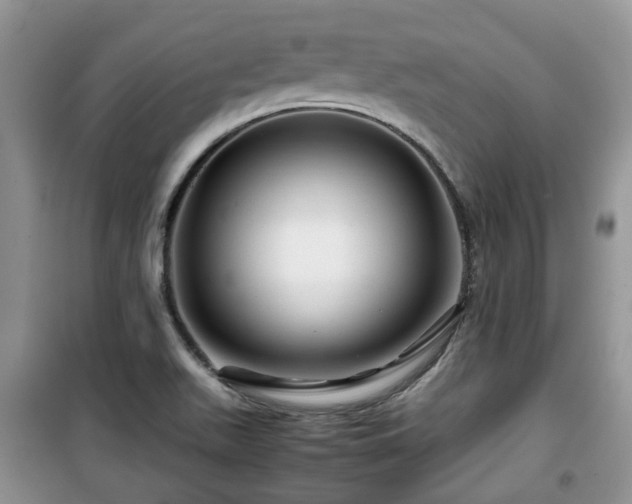 X0000099491511200805221326