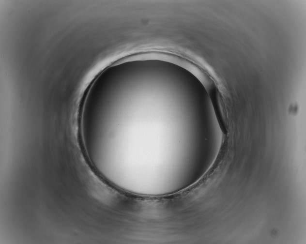 X0000099491512200805221326
