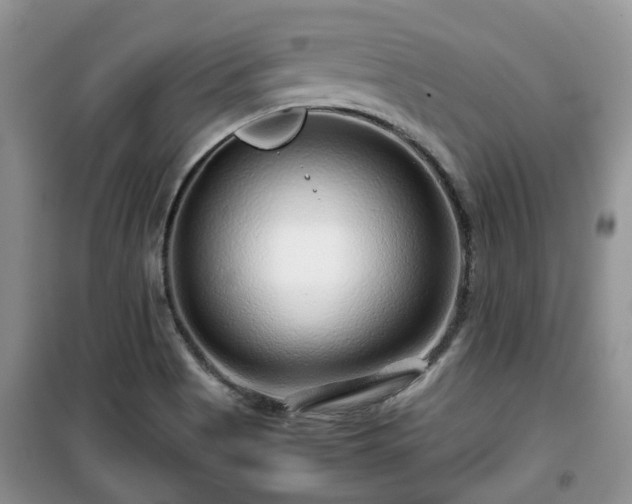 X0000099491513200805221326