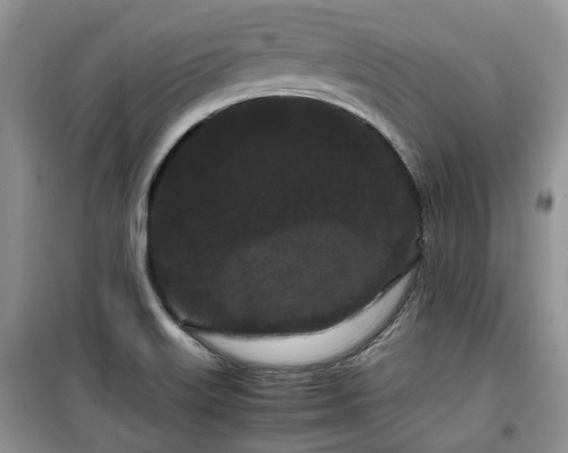 X0000099491515200805221326