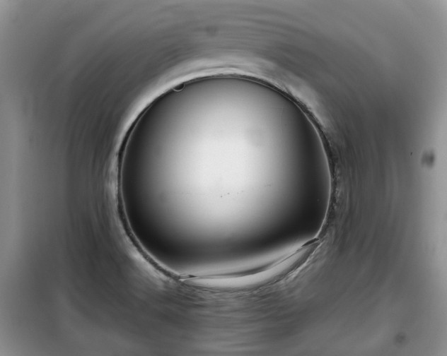 X0000099491516200805221326