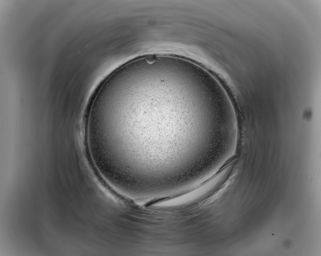 X0000099491517200805221326