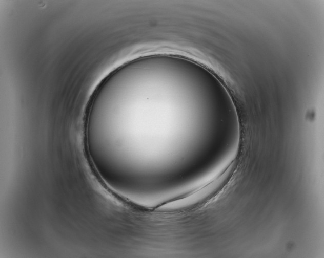 X0000099491518200805221326