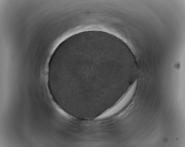 X0000099491519200805221326