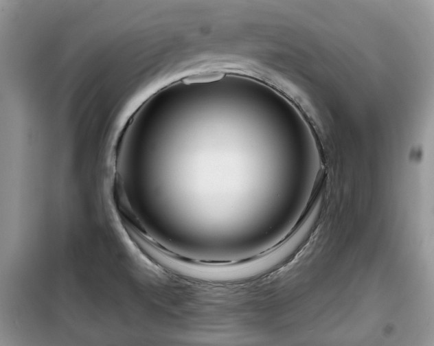 X0000099491520200805221326