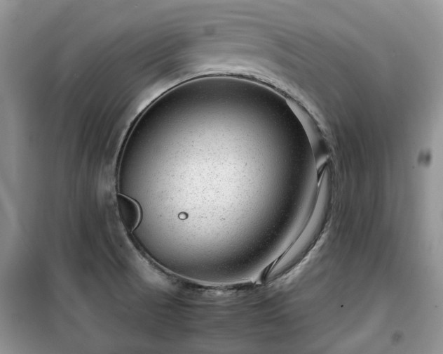 X0000099491521200805221326