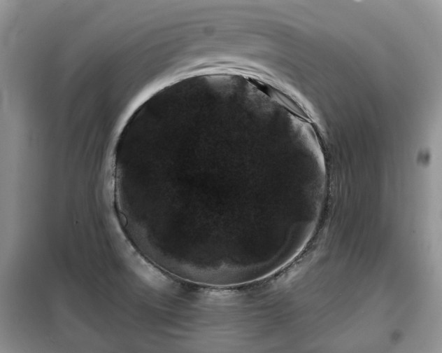 X0000099491522200805221326