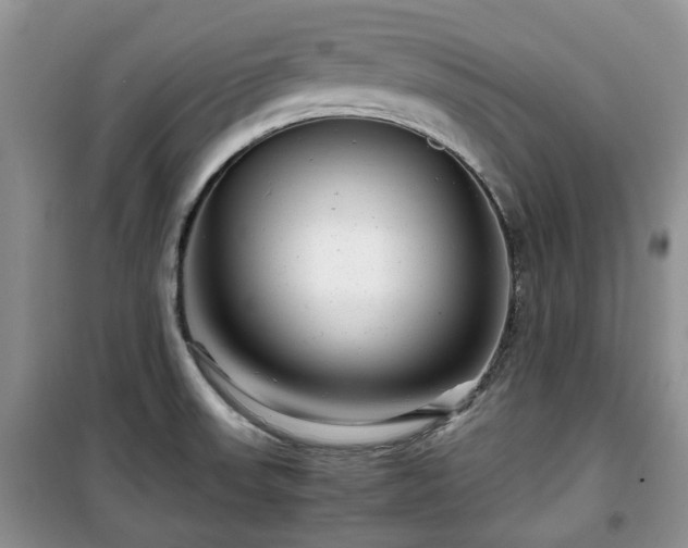 X0000099491523200805221326