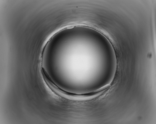 X0000099491524200805221326