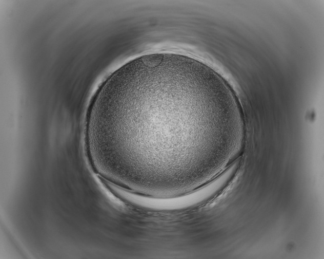 X0000099491525200805221326