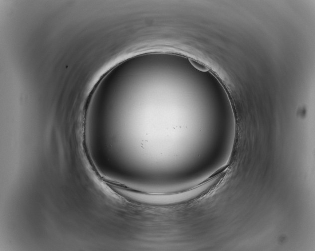 X0000099491526200805221326