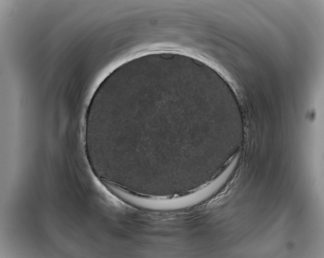 X0000099491527200805221326