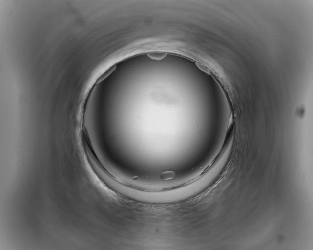X0000099491528200805221326