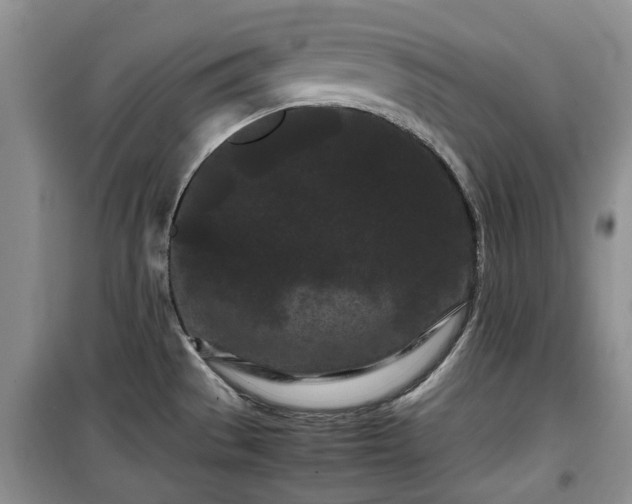 X0000099491529200805221326