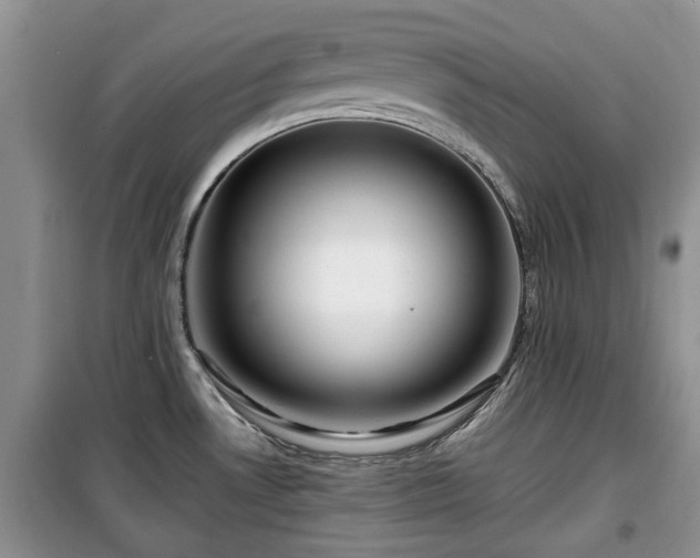 X0000099491530200805221326