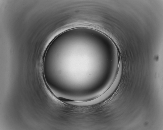 X0000099491531200805221326