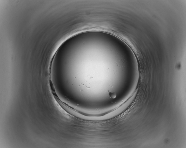 X0000099491532200805221326