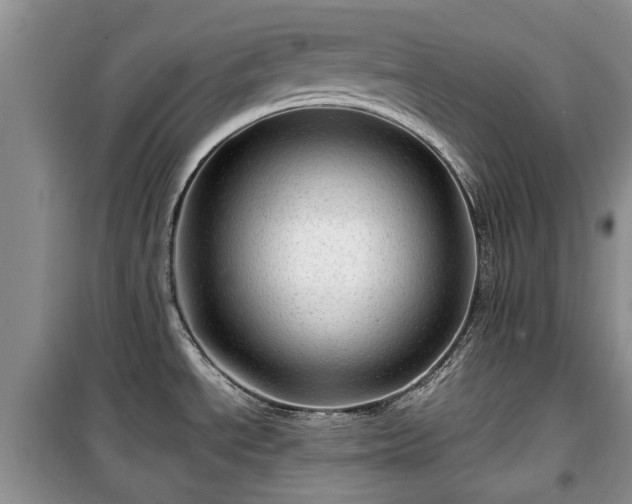 X0000099491534200805221326