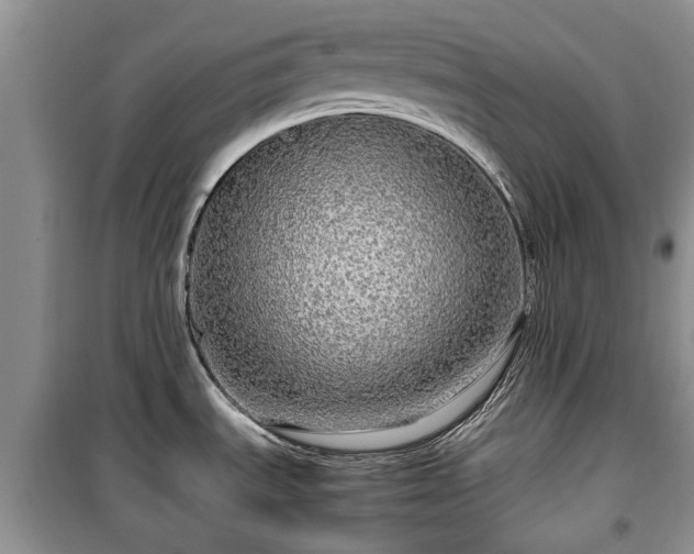 X0000099491535200805221326