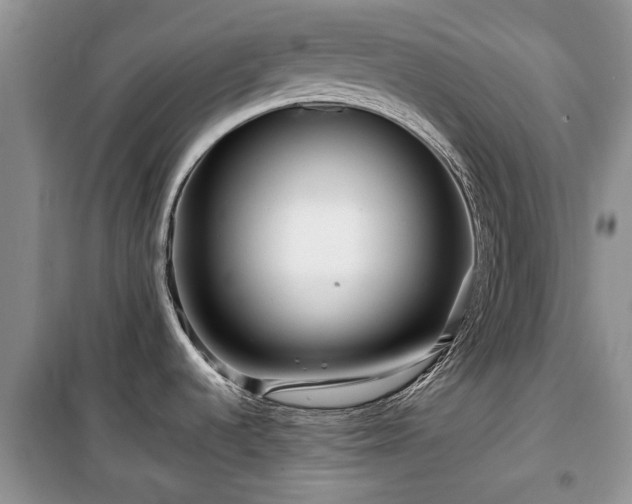 X0000099491536200805221326