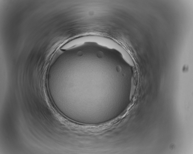 X0000099490001200805291116