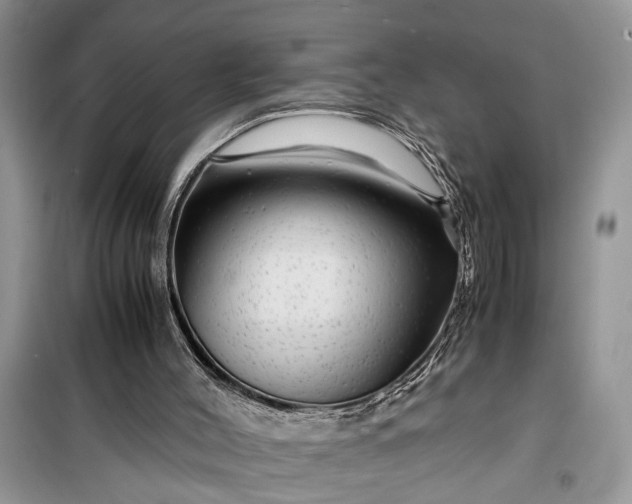 X0000099490004200805291116