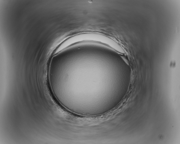 X0000099490005200805291116