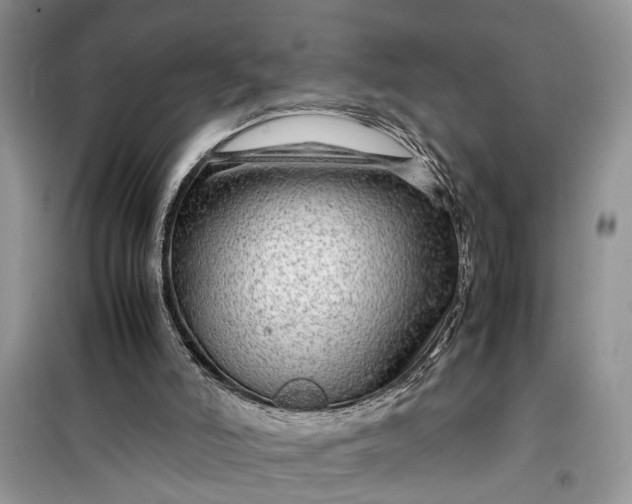 X0000099490006200805291116