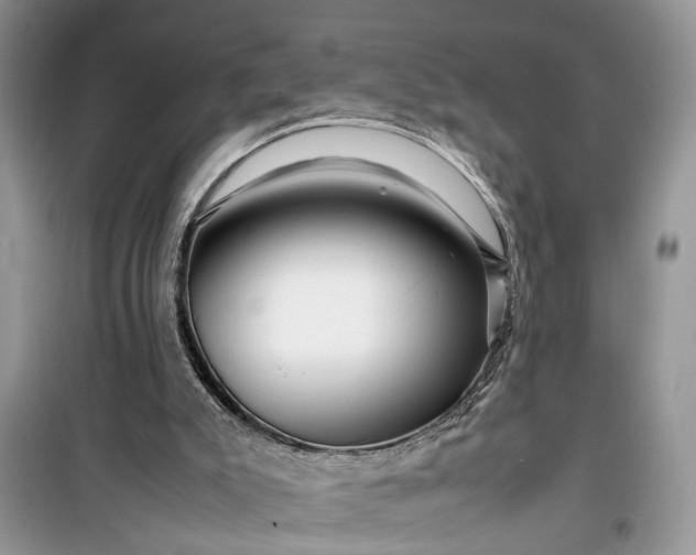 X0000099490007200805291116