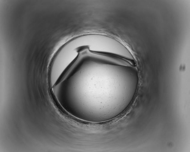 X0000099490008200805291116