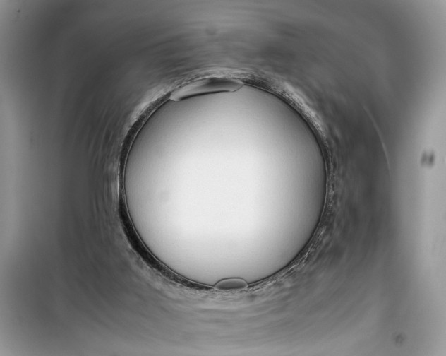 X0000099490011200805291116