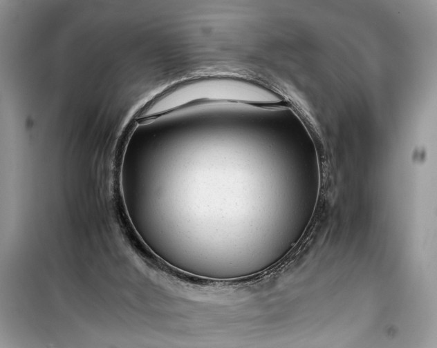 X0000099490012200805291116