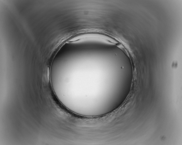 X0000099490013200805291116