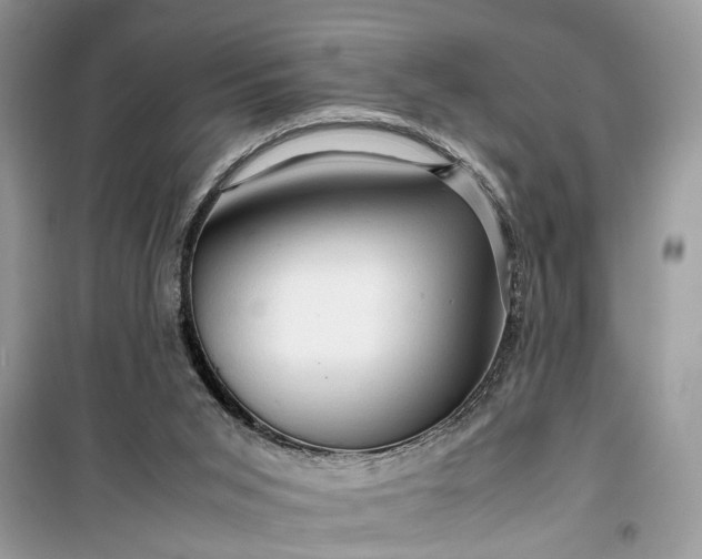 X0000099490015200805291116